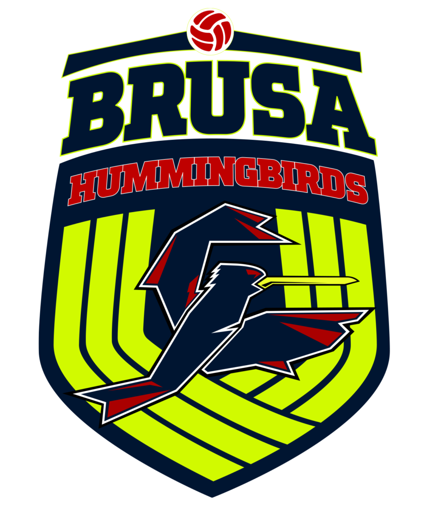 Brusa Volleyball Team Club